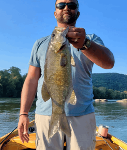 Large Smallmouth Bass Fishing in Virginia